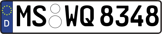 MS-WQ8348