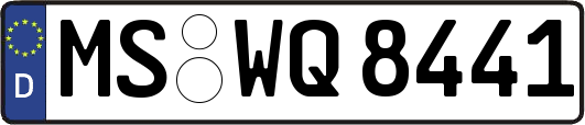 MS-WQ8441