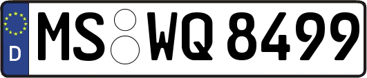 MS-WQ8499