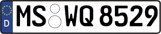 MS-WQ8529