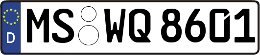 MS-WQ8601