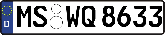 MS-WQ8633