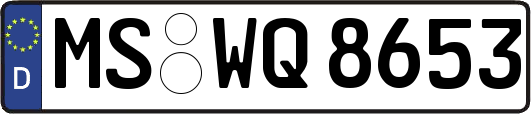 MS-WQ8653