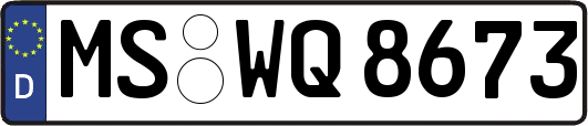 MS-WQ8673