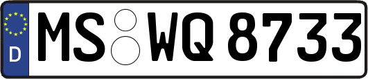 MS-WQ8733