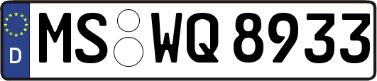 MS-WQ8933