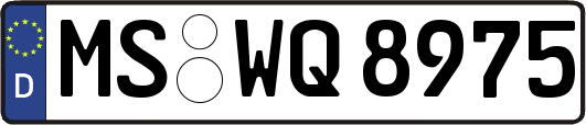 MS-WQ8975