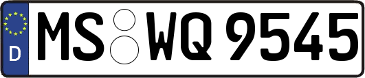 MS-WQ9545
