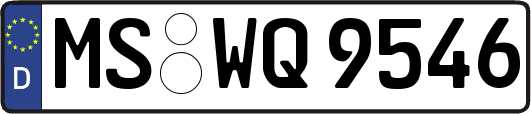 MS-WQ9546