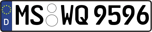 MS-WQ9596