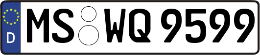 MS-WQ9599