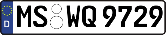 MS-WQ9729