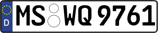 MS-WQ9761