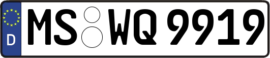 MS-WQ9919
