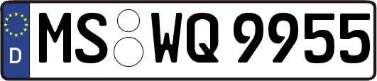 MS-WQ9955