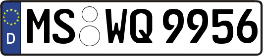 MS-WQ9956