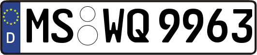 MS-WQ9963