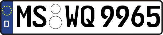 MS-WQ9965