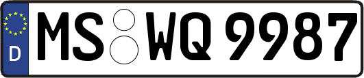 MS-WQ9987