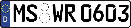 MS-WR0603
