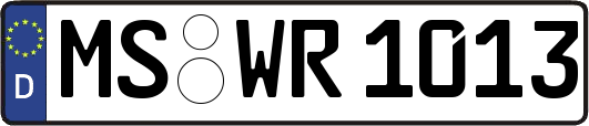 MS-WR1013