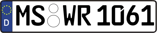 MS-WR1061