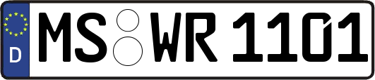 MS-WR1101