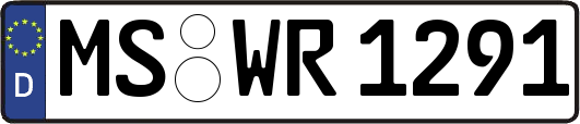 MS-WR1291
