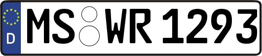 MS-WR1293