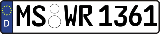 MS-WR1361