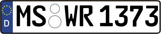 MS-WR1373