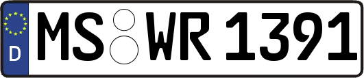 MS-WR1391