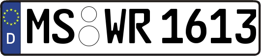 MS-WR1613