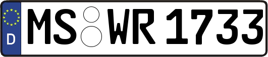 MS-WR1733