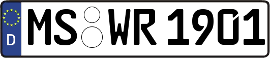 MS-WR1901