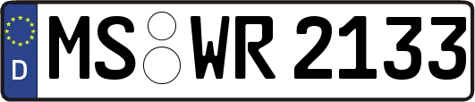 MS-WR2133