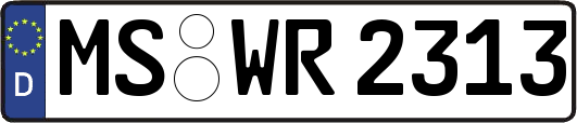 MS-WR2313