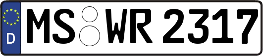 MS-WR2317