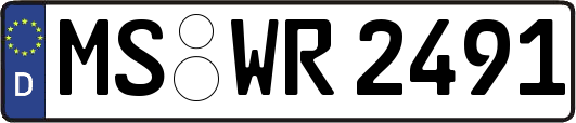 MS-WR2491