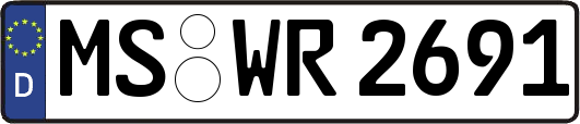 MS-WR2691