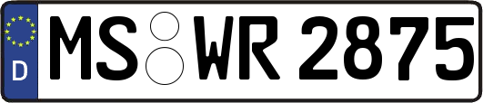 MS-WR2875
