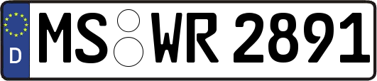 MS-WR2891