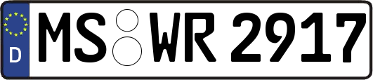 MS-WR2917