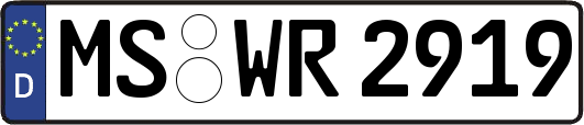 MS-WR2919