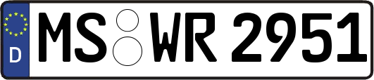 MS-WR2951