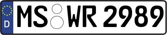MS-WR2989