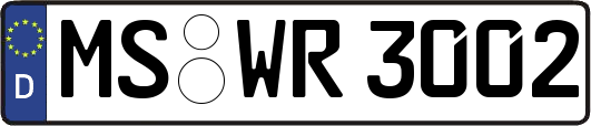 MS-WR3002