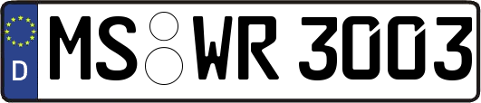 MS-WR3003