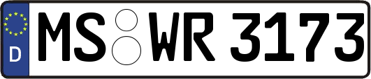 MS-WR3173