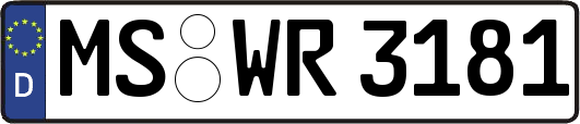 MS-WR3181